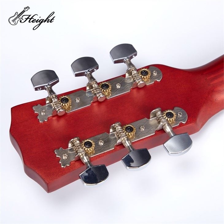 Montana Standard Body Acoustic Guitar
